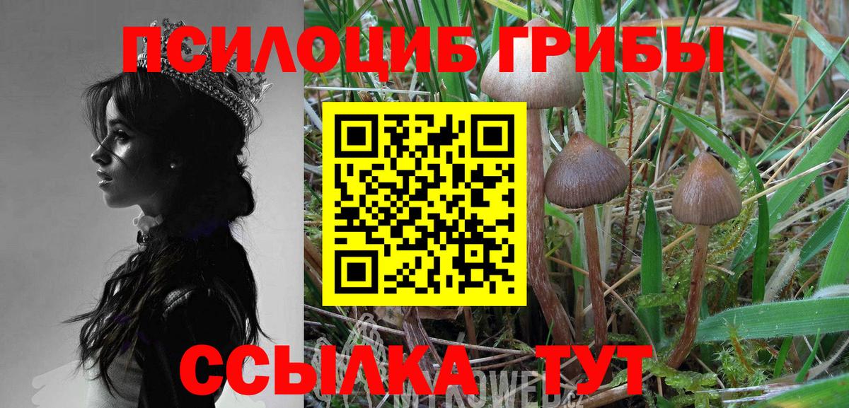 Псилоцибиновые грибы MAGIC MUSHROOMS  Псилоцибиновые грибы Cubensis  Трёхгорный  Вход с VPN 