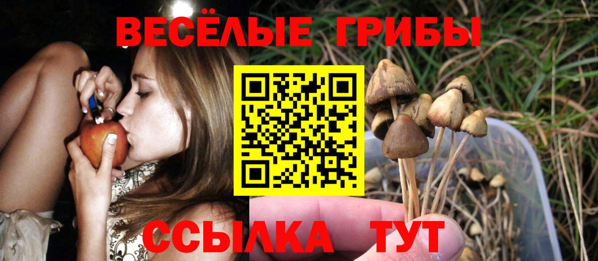 Псилоцибиновые грибы Cubensis Трёхгорный